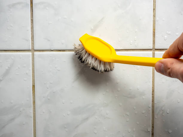 Best Commercial Mold Remediation in Messiah College, PA