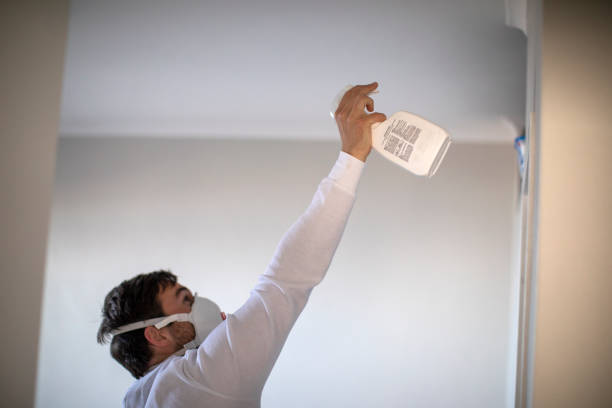 Best Basement Mold Remediation in Messiah College, PA