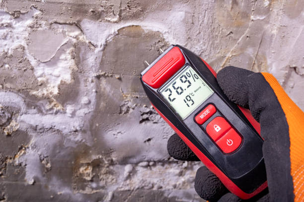 Best Attic Mold Remediation in Messiah College, PA